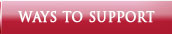 Ways to Support BASIA