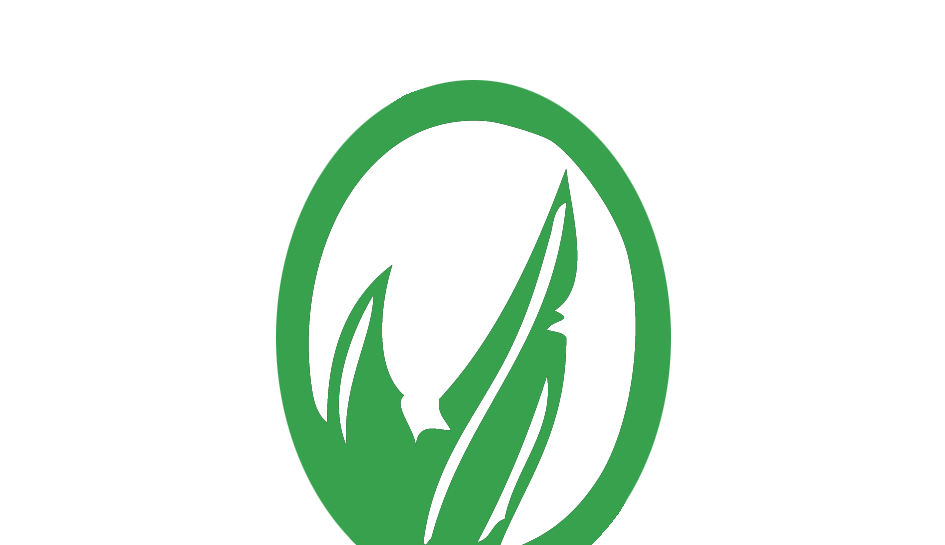 App image